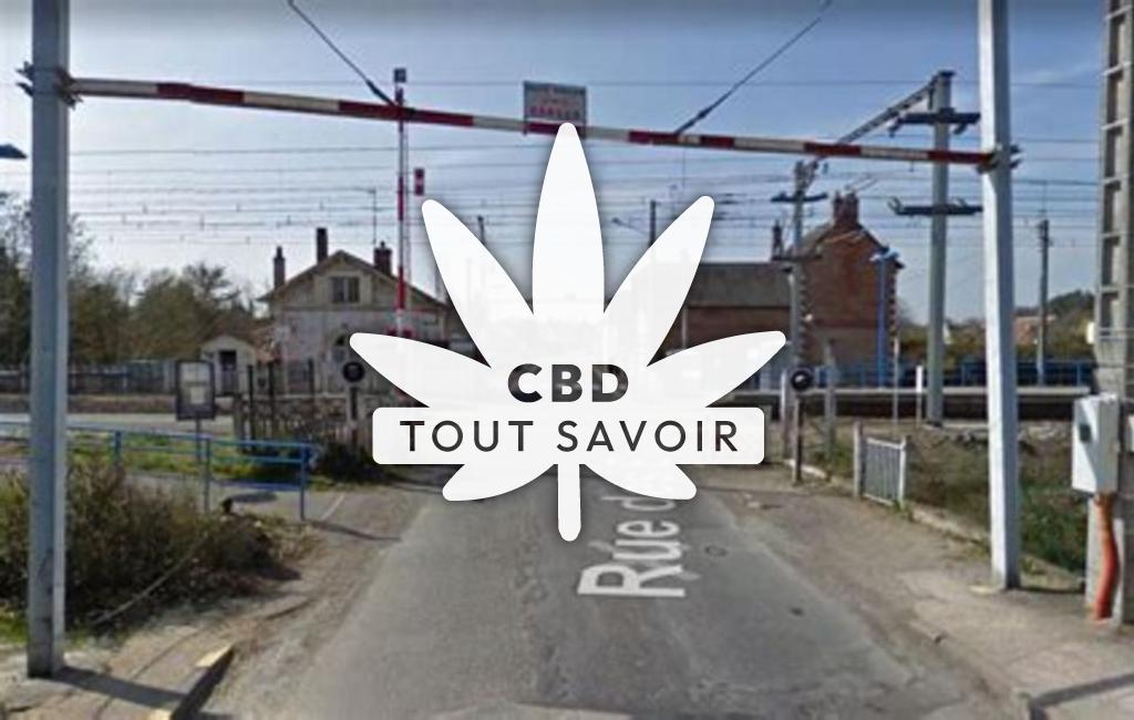 Village à Nouan-le-Fuzelier avec feuille Cannabis CBD
