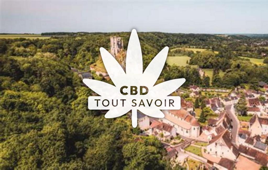 Village à Lavardin avec feuille Cannabis CBD