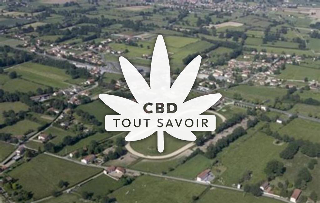 Village à Epercieux-Saint-Paul avec feuille Cannabis CBD