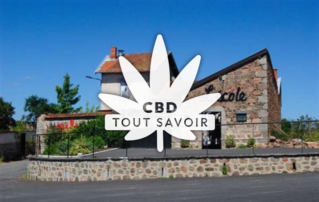 Village à Saint-Martin-Lestra avec feuille Cannabis CBD
