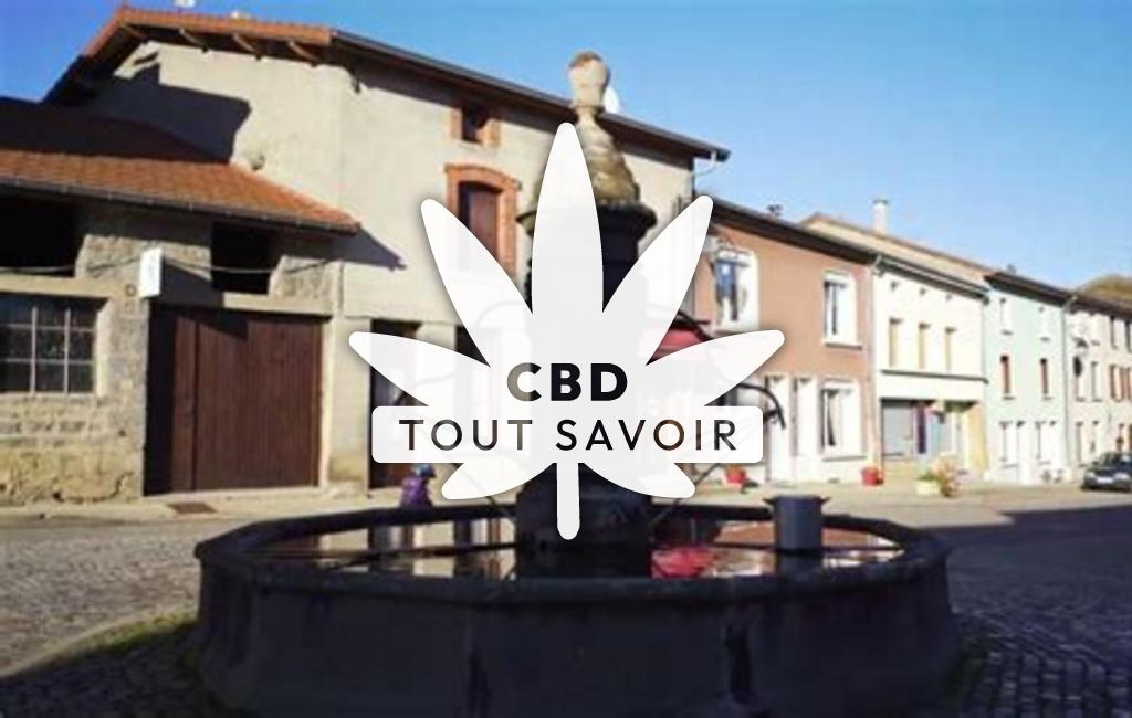 Village à Saint-Didier-sur-Rochefort avec feuille Cannabis CBD