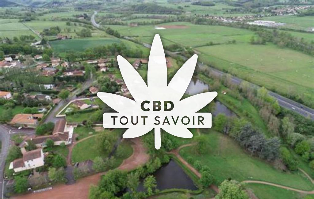 Village à Saint-Vincent-de-Boisset avec feuille Cannabis CBD
