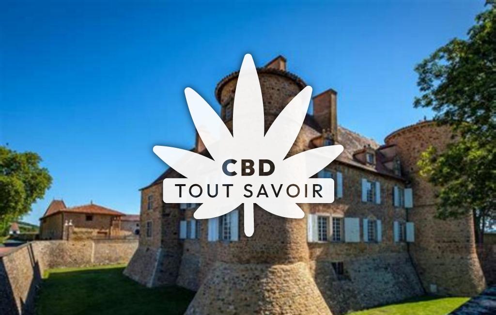 Village à Saint-Marcel-de-Felines avec feuille Cannabis CBD