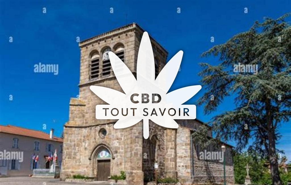 Village à Saint-Etienne-le-Molard avec feuille Cannabis CBD