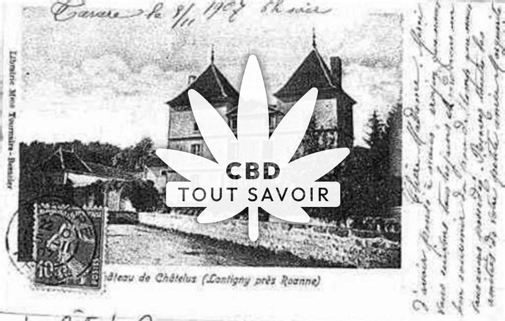 Village à Chatelus avec feuille Cannabis CBD