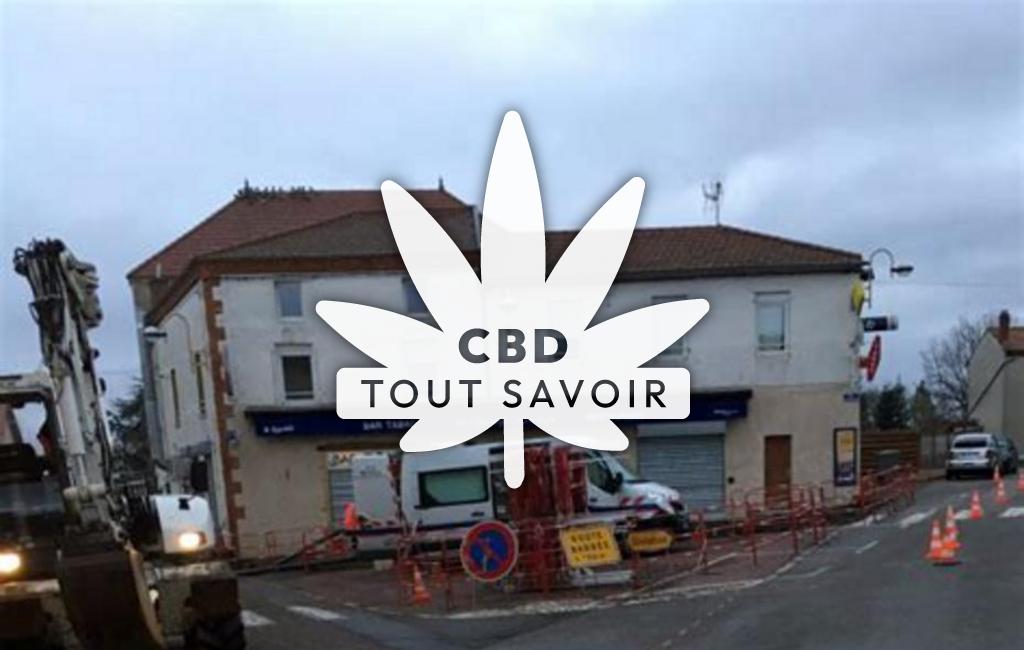 Village à Lentigny avec feuille Cannabis CBD