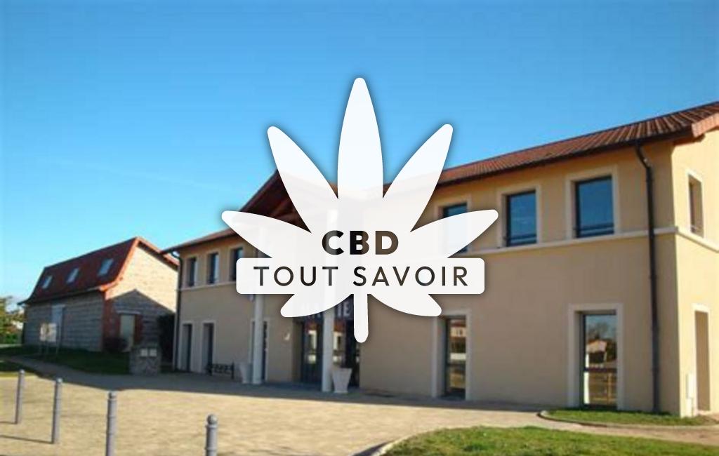 Village à Saint-Leger-sur-Roanne avec feuille Cannabis CBD
