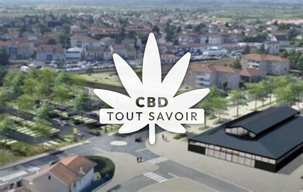 Village à Bonson avec feuille Cannabis CBD