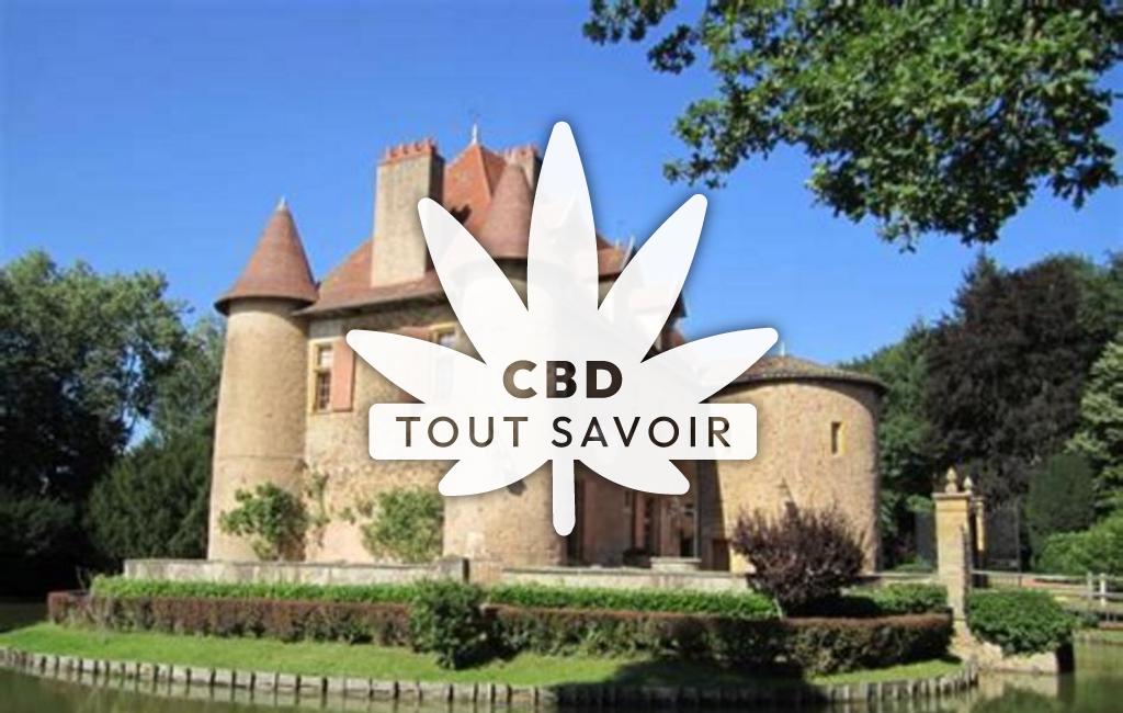 Village à Saint-Hilaire-sous-Charlieu avec feuille Cannabis CBD