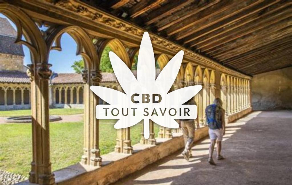 Village à Saint-Nizier-sous-Charlieu avec feuille Cannabis CBD