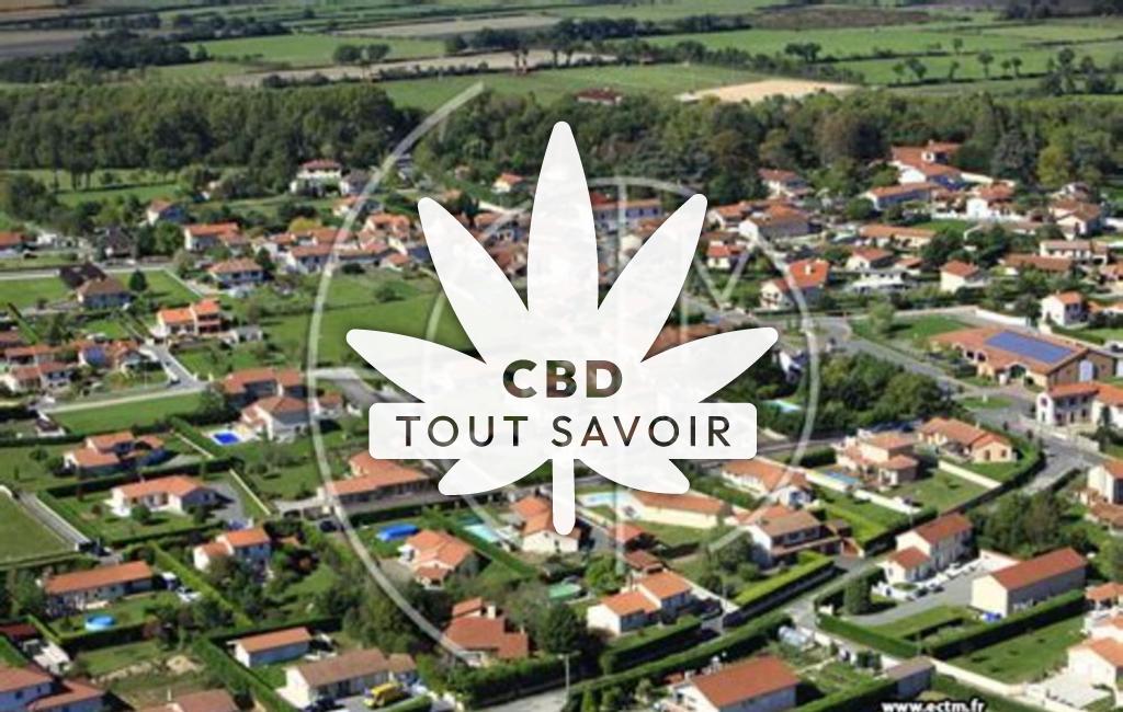 Village à L'Hopital-le-Grand avec feuille Cannabis CBD