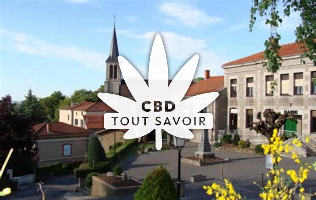 Village à Saint-Cyr-les-Vignes avec feuille Cannabis CBD