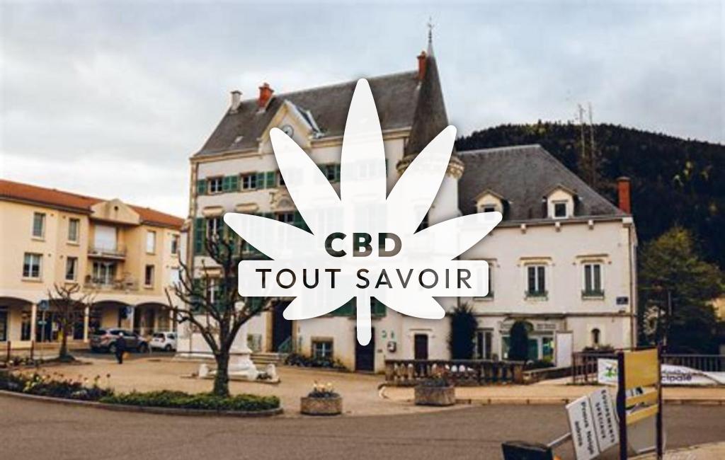 Village à Saint-Sauveur-en-Rue avec feuille Cannabis CBD