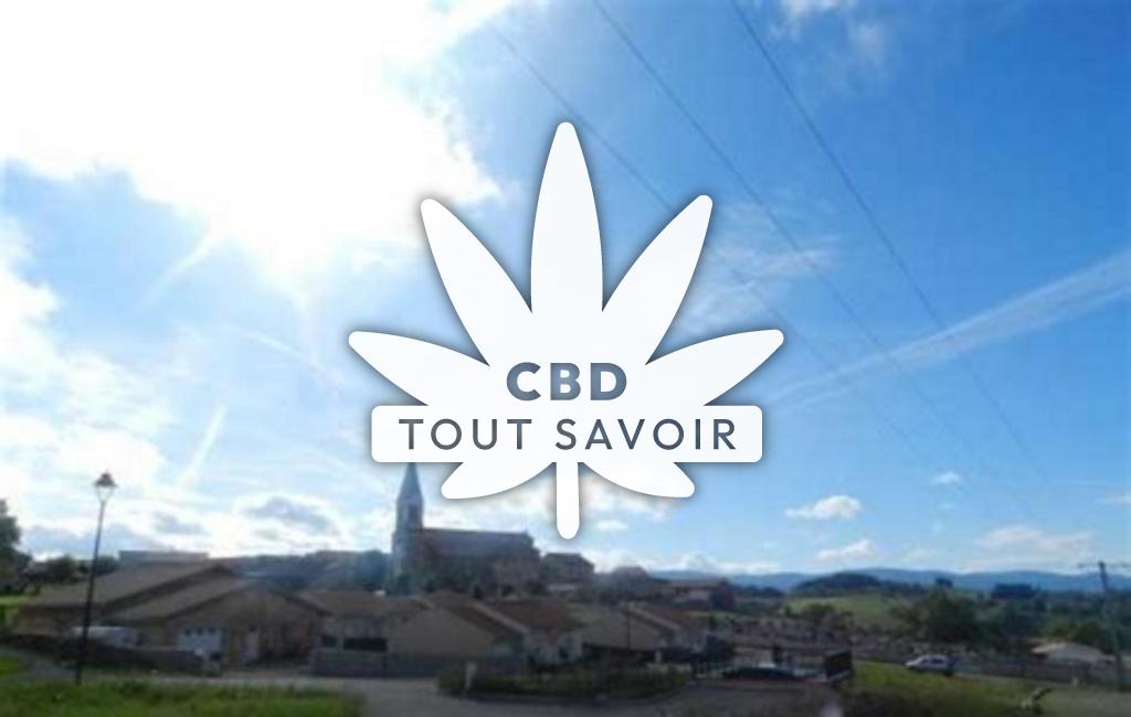 Village à Saint-Martin-la-Sauvete avec feuille Cannabis CBD