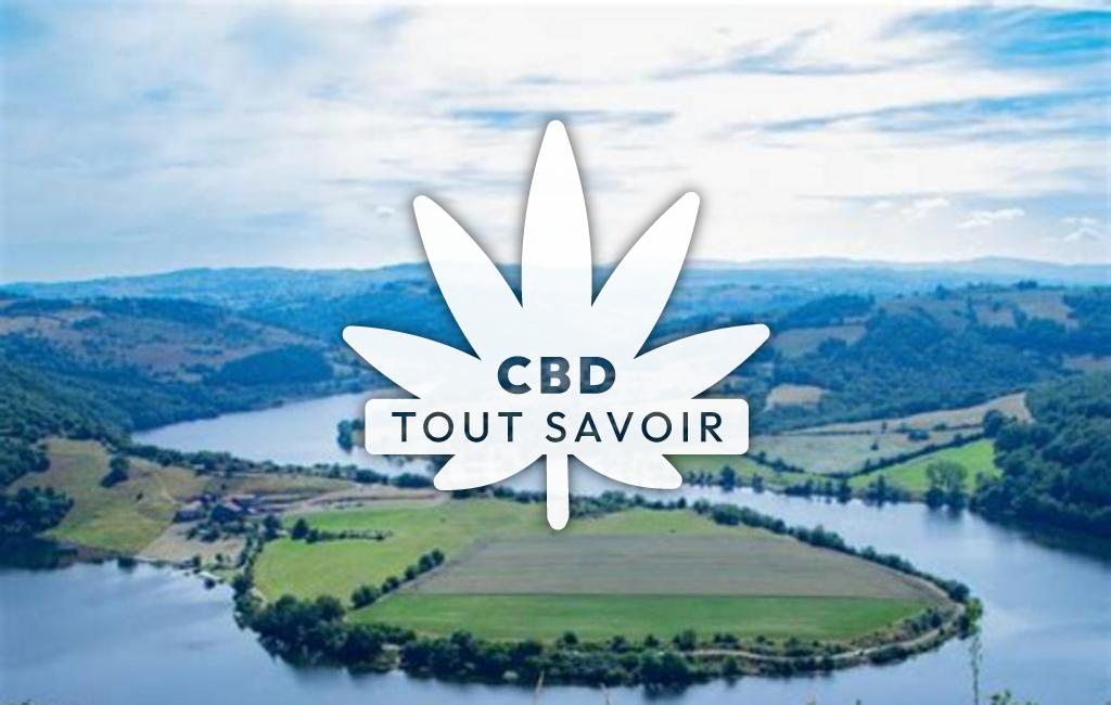 Village à Vezelin-sur-Loire avec feuille Cannabis CBD
