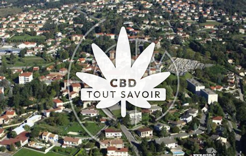 Village à Sorbiers avec feuille Cannabis CBD