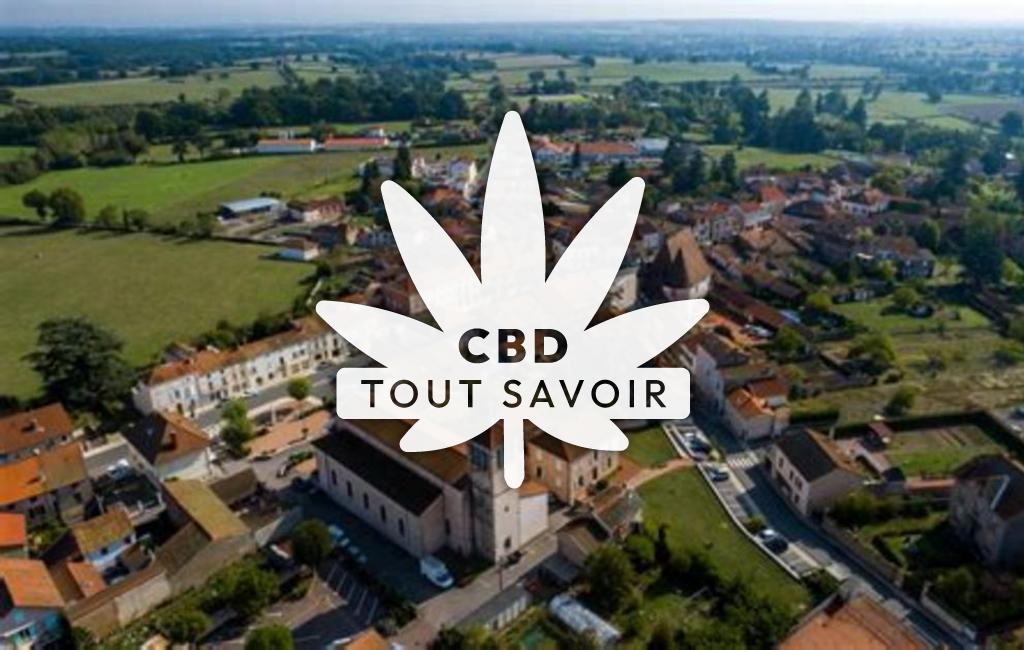 Village à La-Pacaudiere avec feuille Cannabis CBD