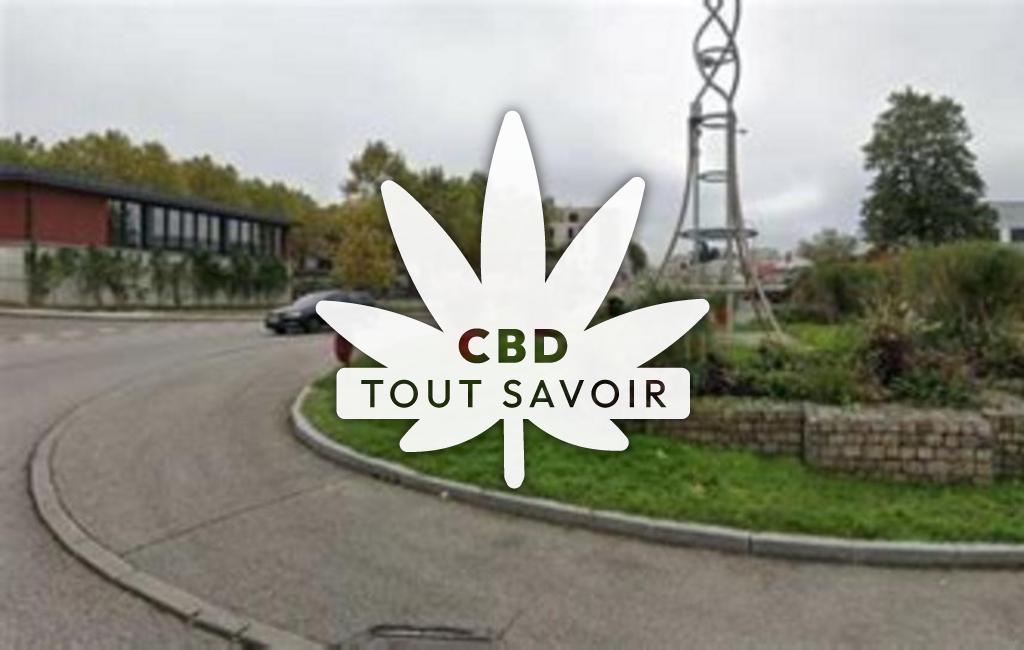 Village à La-Grand-Croix avec feuille Cannabis CBD