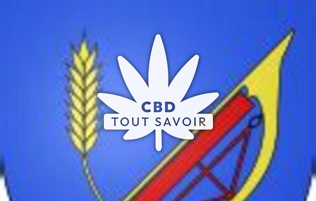 Village à Aveizieux avec feuille Cannabis CBD