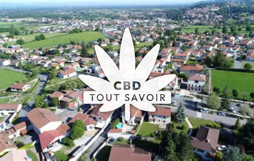 Village à Chamboeuf avec feuille Cannabis CBD