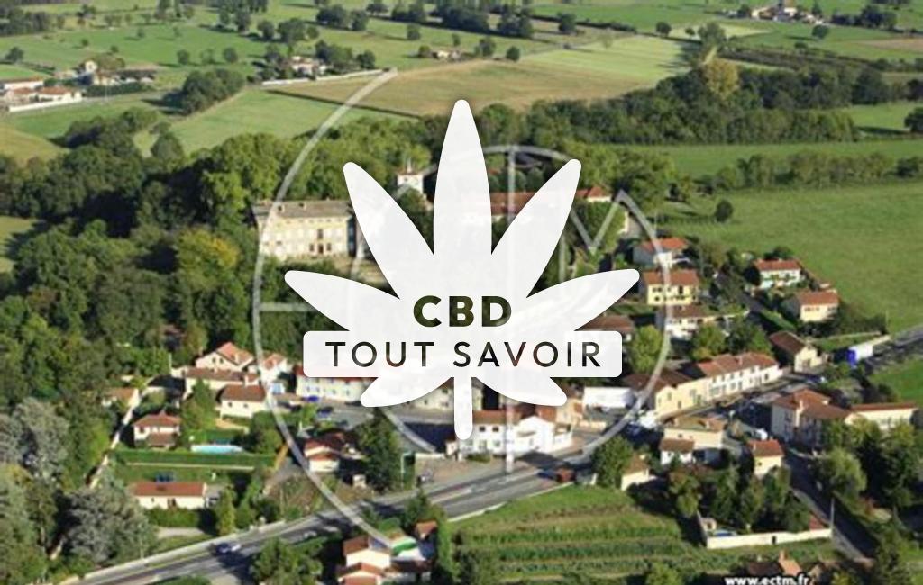 Village à Cuzieu avec feuille Cannabis CBD
