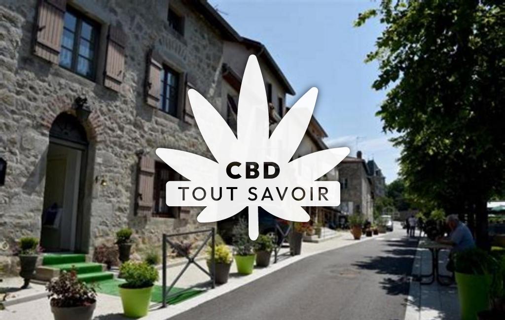 Village à Saint-Bonnet-les-Oules avec feuille Cannabis CBD