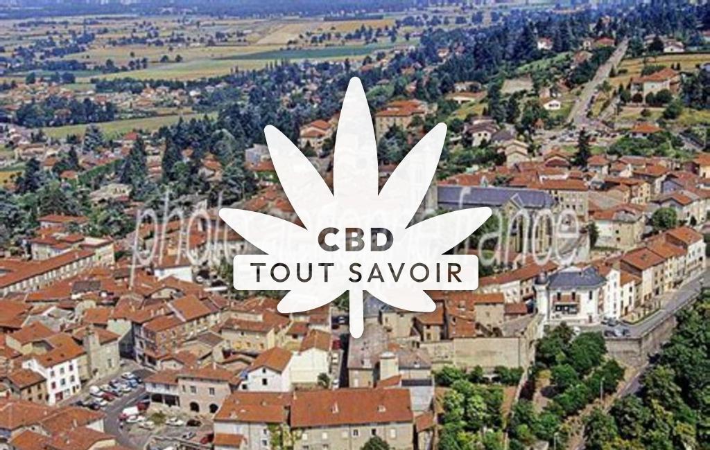 Village à Saint-Medard-en-Forez avec feuille Cannabis CBD