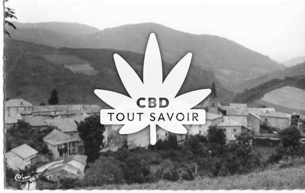 Village à Les-Noes avec feuille Cannabis CBD