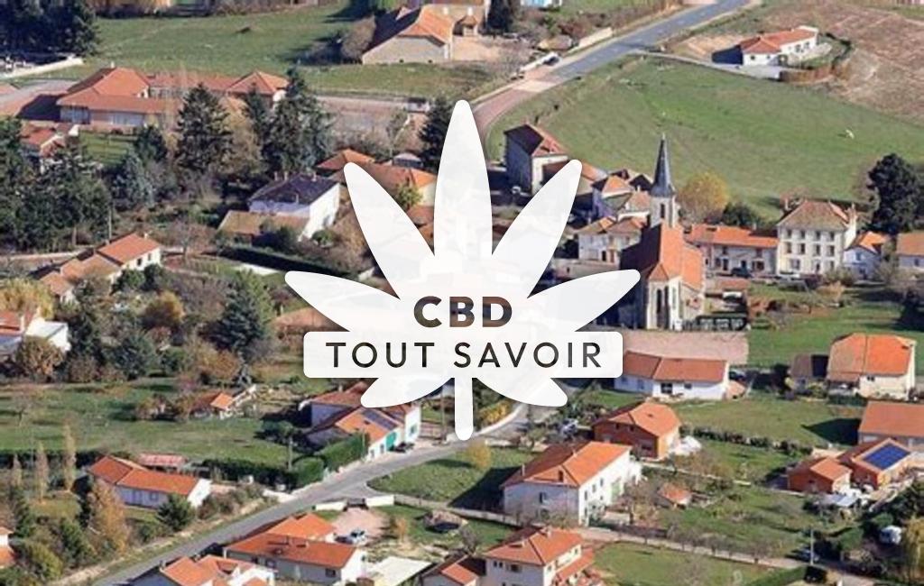 Village à Saint-Haon-le-Vieux avec feuille Cannabis CBD