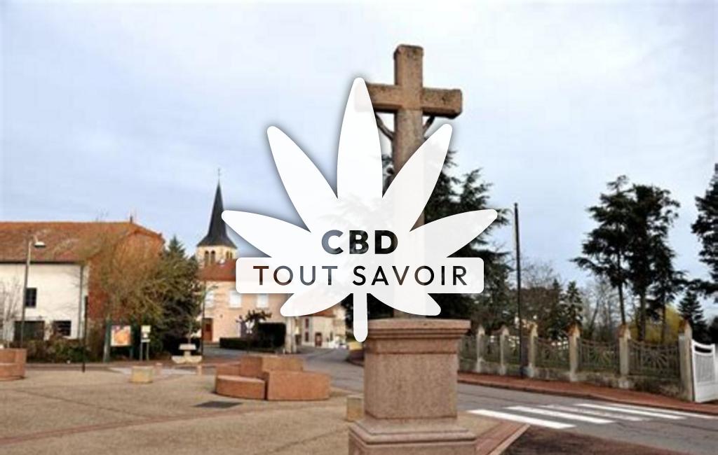 Village à Saint-Rirand avec feuille Cannabis CBD