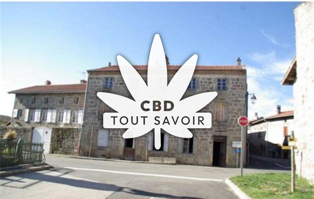 Village à Saint-Nizier-de-Fornas avec feuille Cannabis CBD
