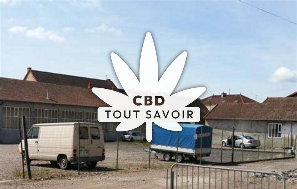 Village à Cuinzier avec feuille Cannabis CBD