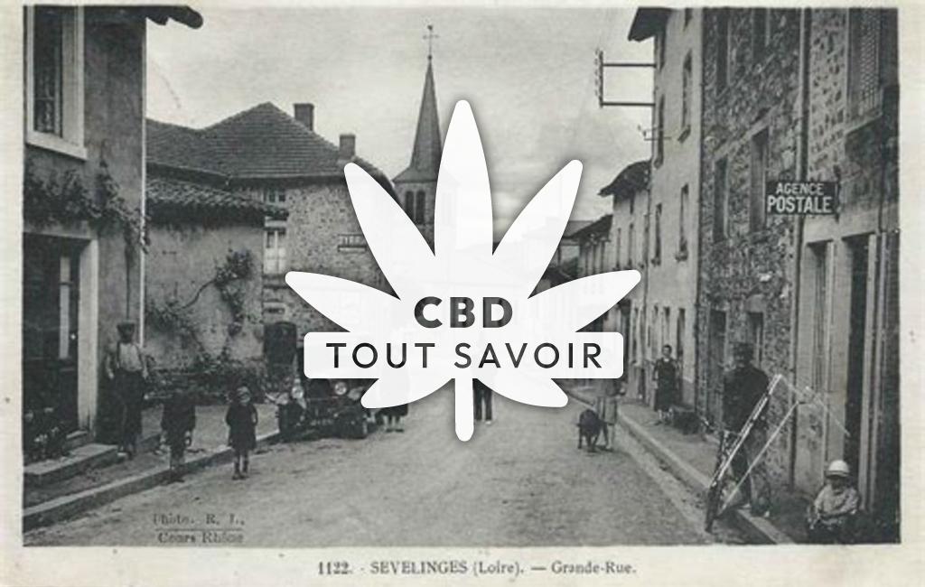 Village à Sevelinges avec feuille Cannabis CBD