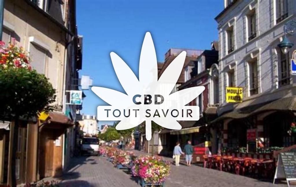 Village à Villers avec feuille Cannabis CBD