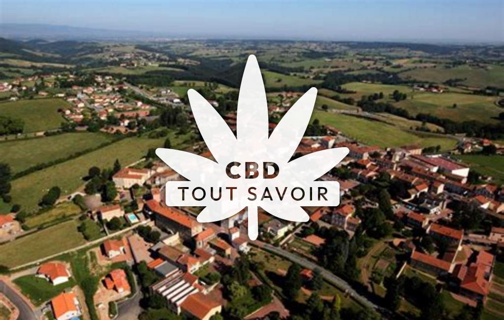 Village à Saint-Symphorien-de-Lay avec feuille Cannabis CBD