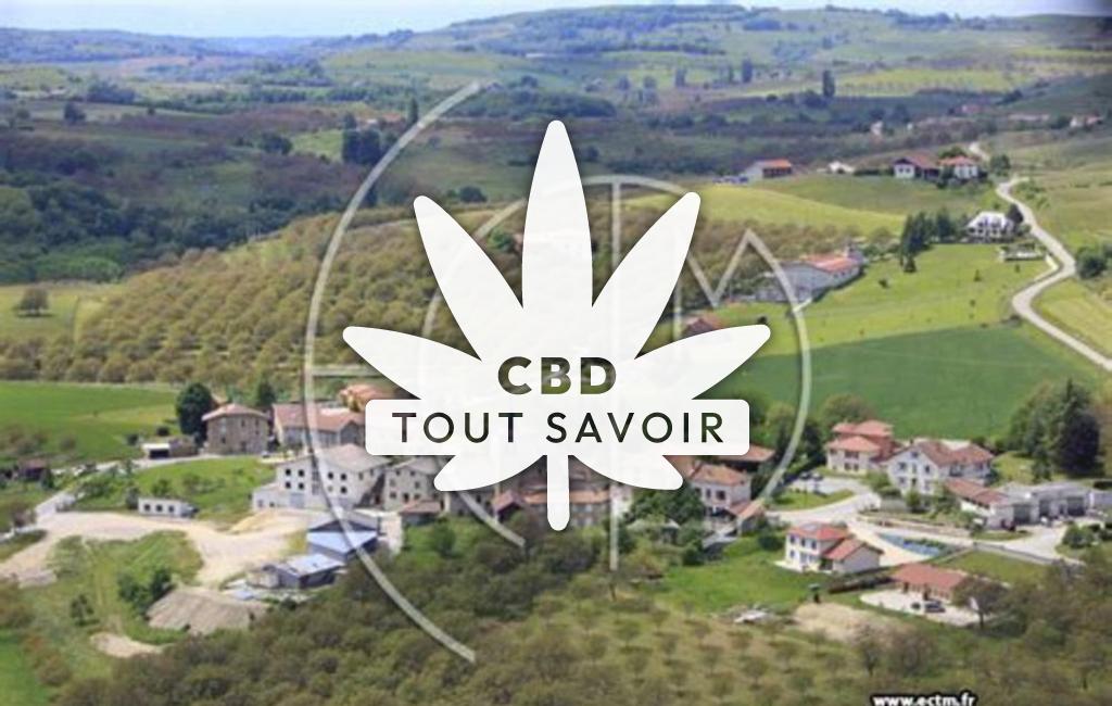 Village à Saint-Appolinard avec feuille Cannabis CBD