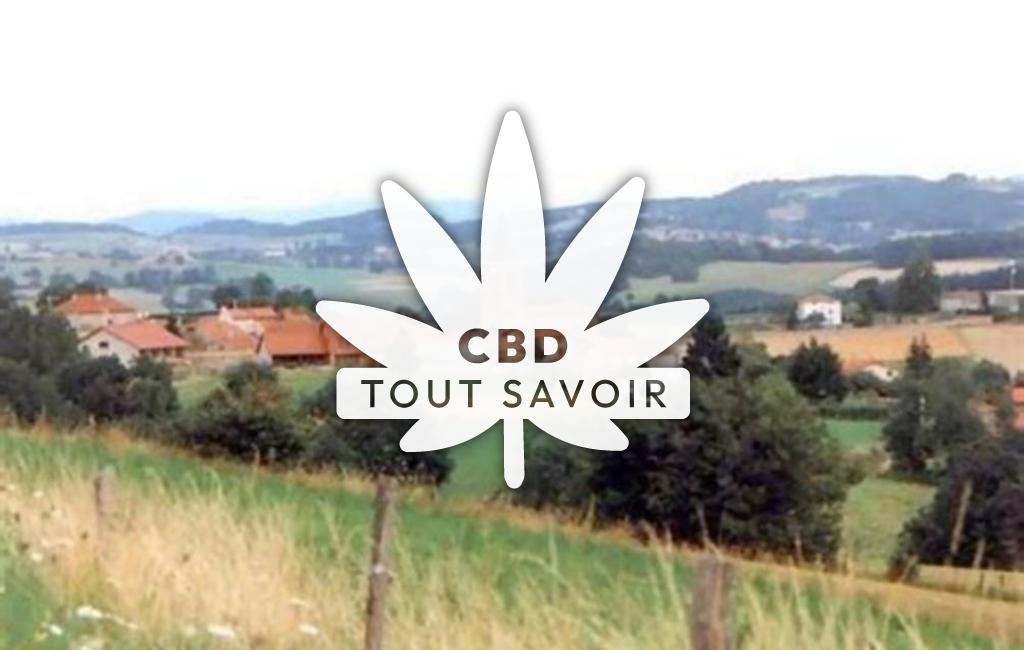 Village à Croizet-sur-Gand avec feuille Cannabis CBD