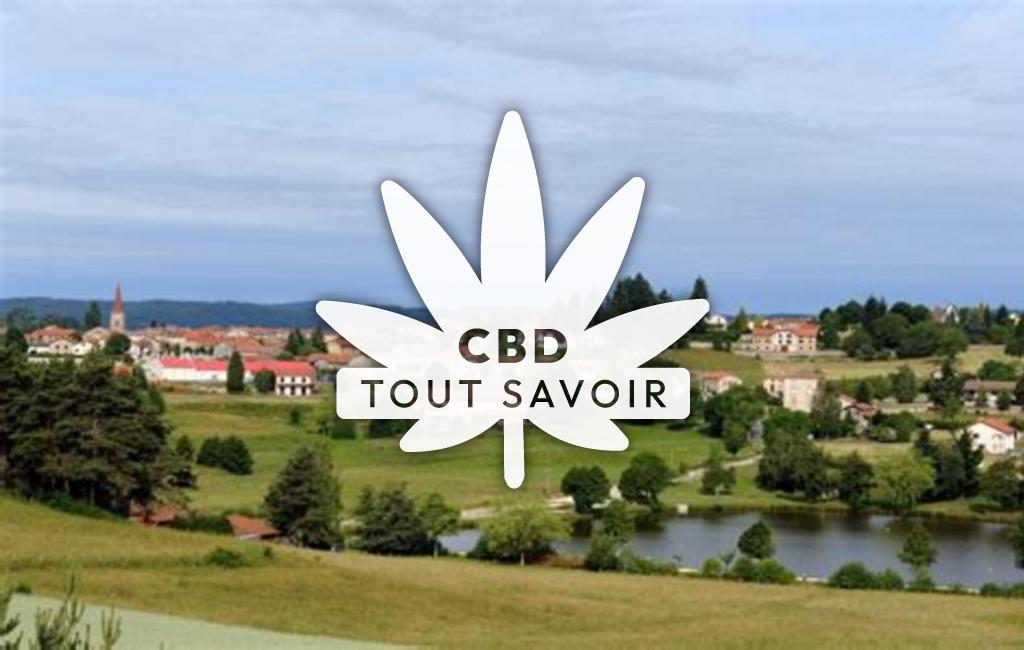 Village à Usson-en-Forez avec feuille Cannabis CBD