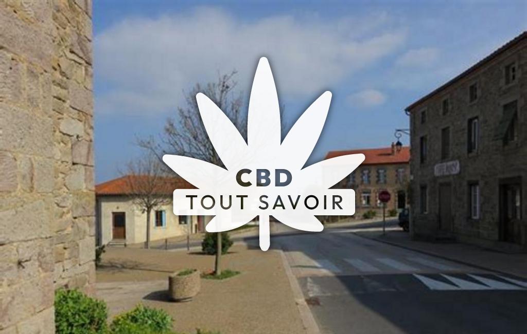 Village à Boisset-Saint-Priest avec feuille Cannabis CBD