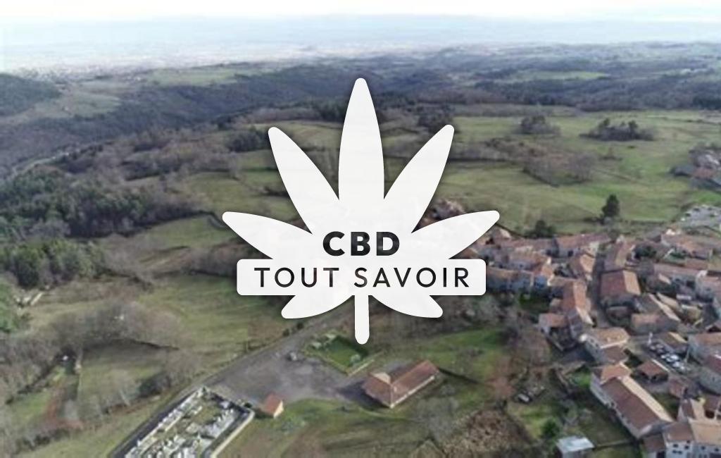 Village à Chazelles-sur-Lavieu avec feuille Cannabis CBD
