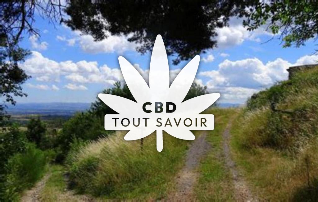 Village à Chenereilles avec feuille Cannabis CBD