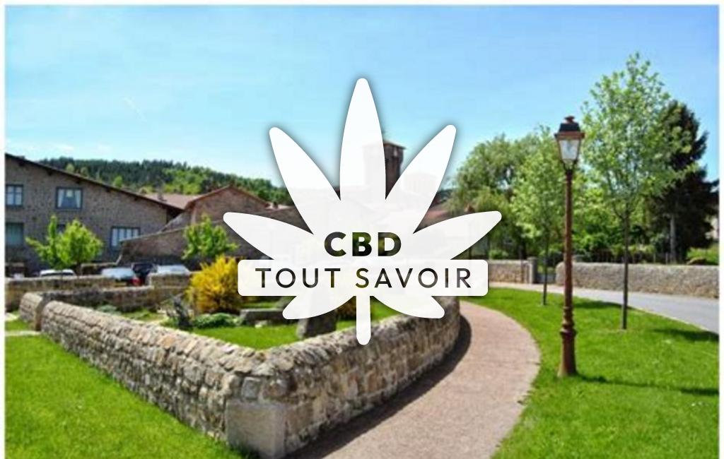 Village à Marols avec feuille Cannabis CBD