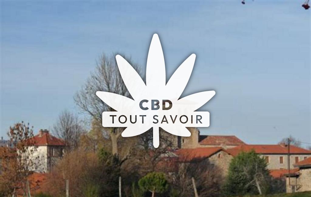 Village à Lerigneux avec feuille Cannabis CBD