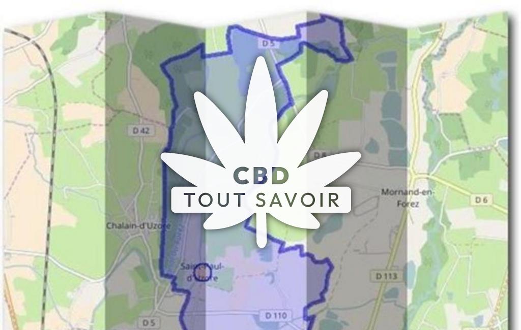 Village à Saint-Paul-D'Uzore avec feuille Cannabis CBD