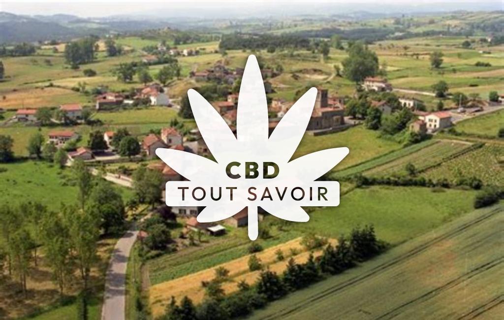 Village à Saint-Thomas-la-Garde avec feuille Cannabis CBD