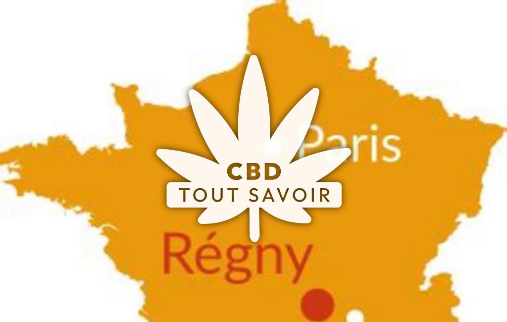 Village à Regny avec feuille Cannabis CBD