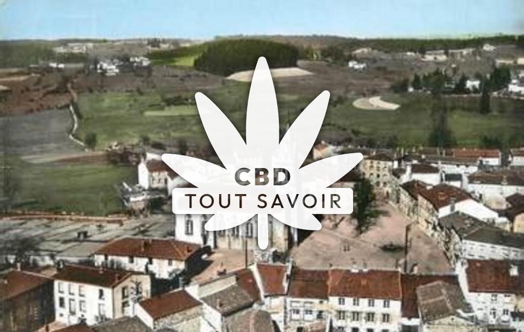Village à Jonzieux avec feuille Cannabis CBD