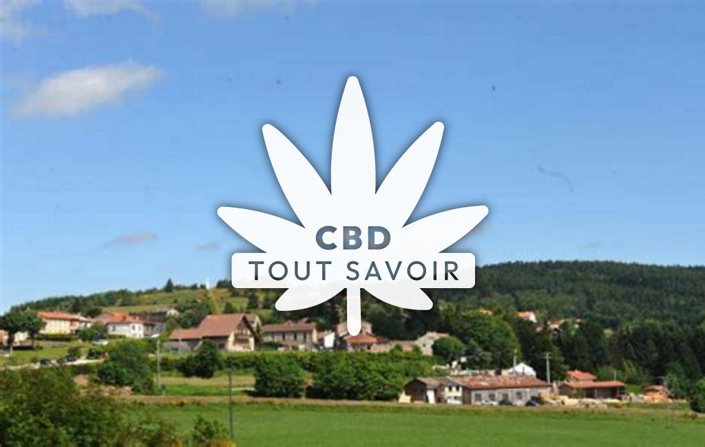 Village à Le-Bessat avec feuille Cannabis CBD