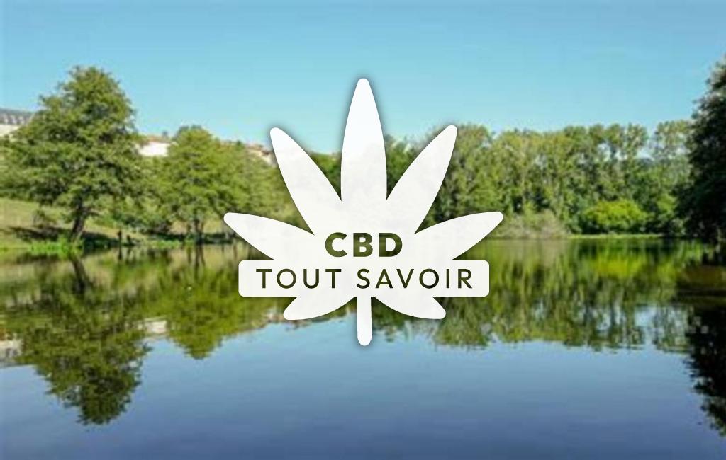 Village à Belmont-de-la-Loire avec feuille Cannabis CBD
