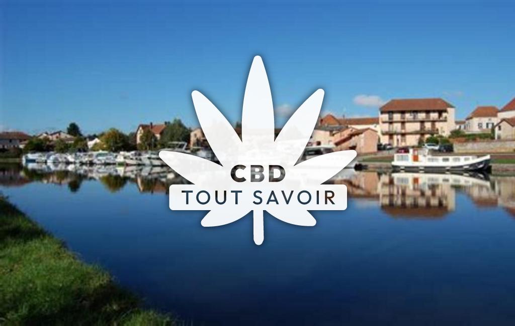 Village à Briennon avec feuille Cannabis CBD